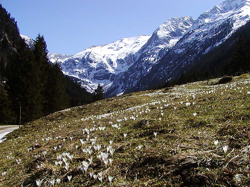 Zillertal April 2007 - Frühlingshochtour